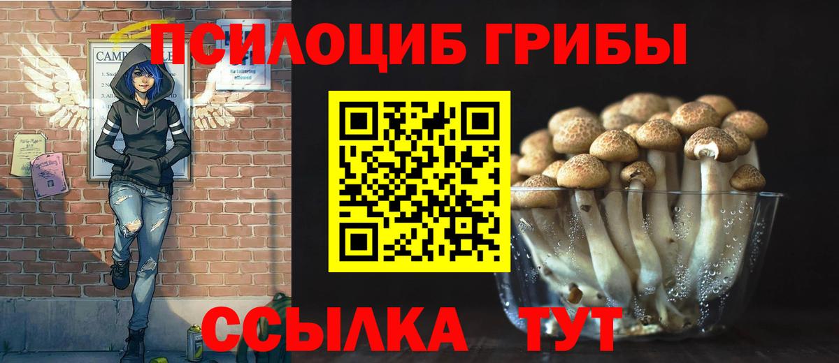 Галлюциногенные грибы прущие грибы  Вход с VPN  Химки  Псилоцибиновые грибы прущие грибы 